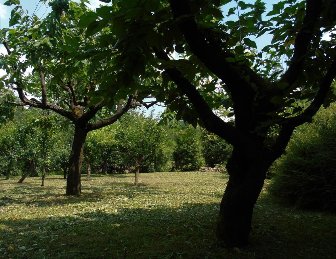 Cascina Cavalli Astino Villa Bergamo Luaran gambar