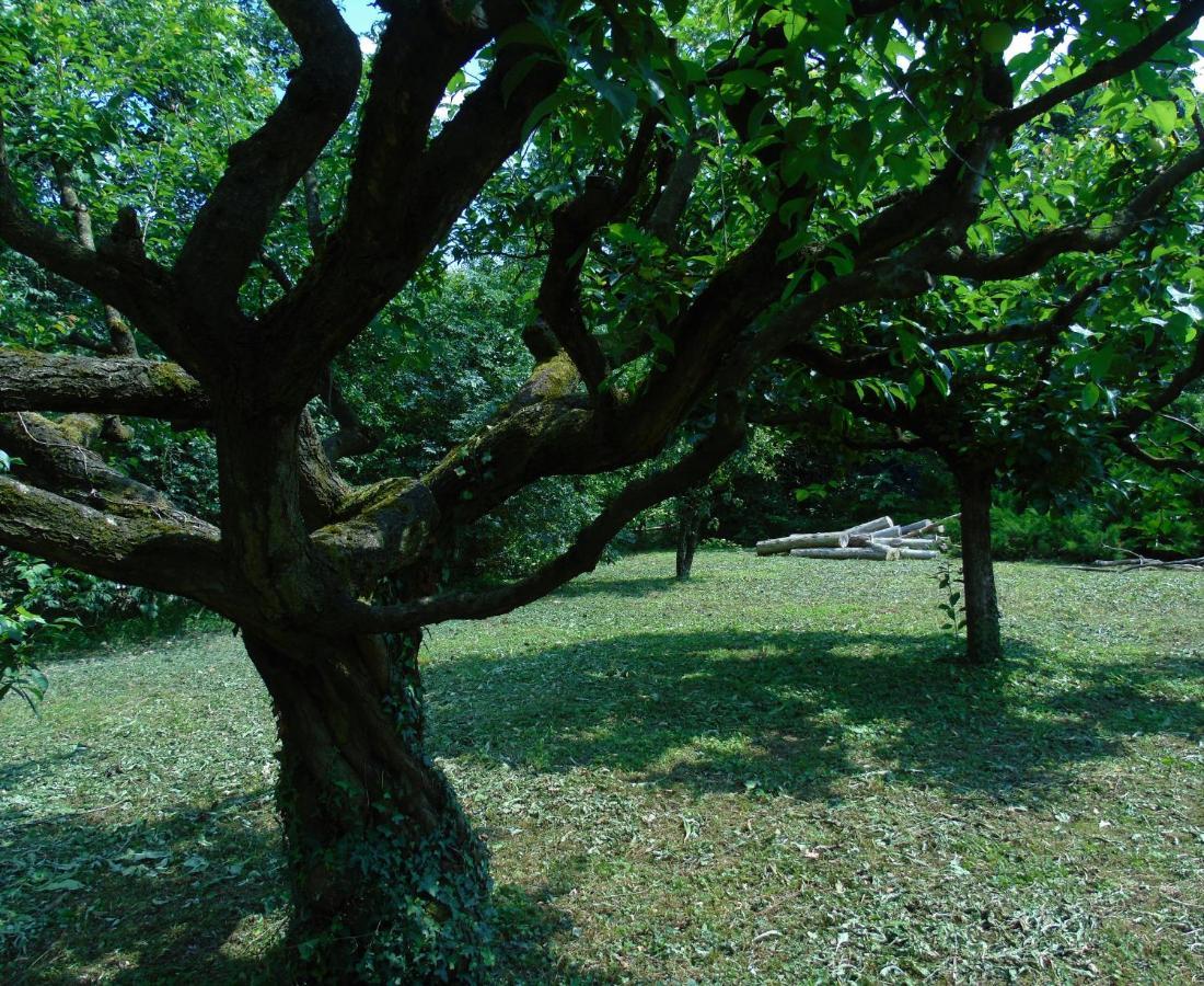 Cascina Cavalli Astino Villa Bergamo Luaran gambar